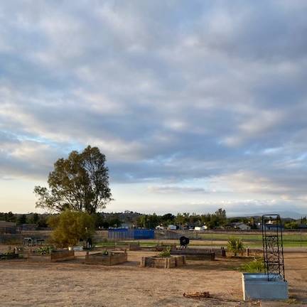 FORUS Project Sensory Gardens